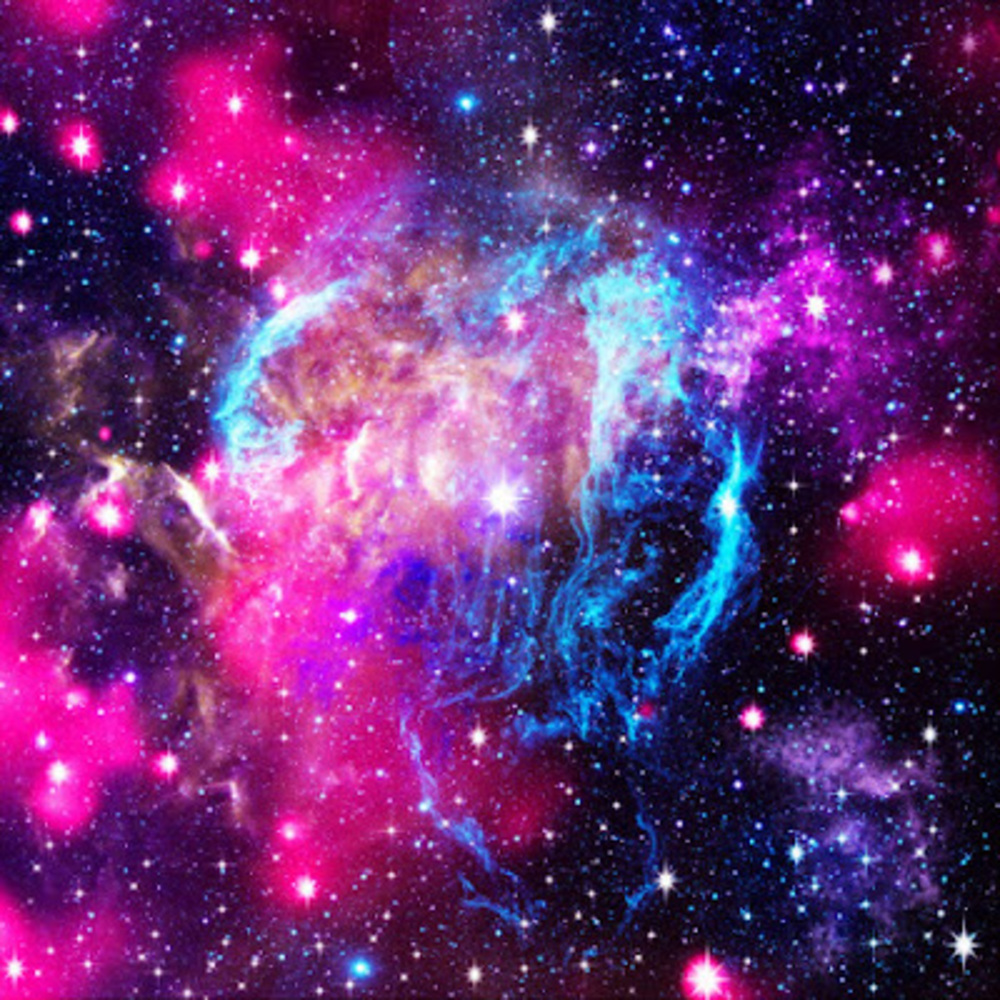 Meet your Posher, Yasmin